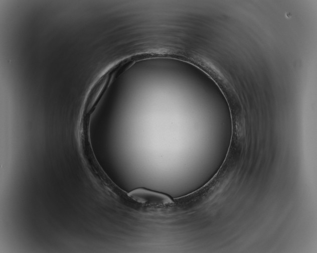 X0000096710532200802191510