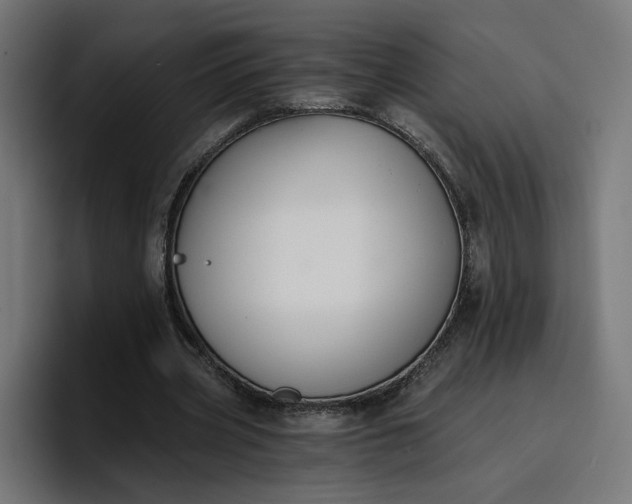 X0000096710533200802191510