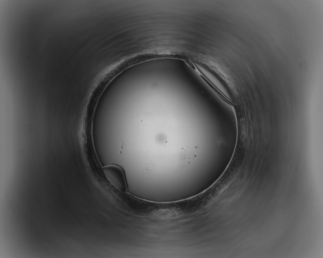 X0000096710536200802191510