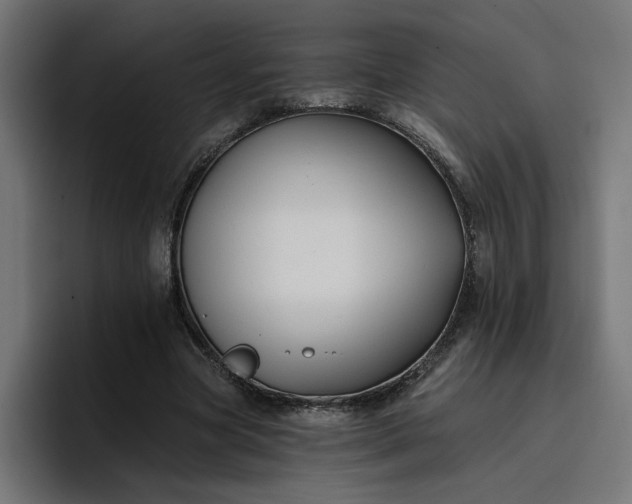 X0000096710537200802191510