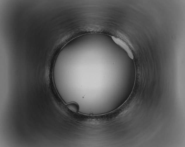 X0000096710538200802191510