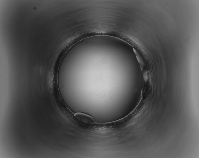 X0000096710540200802191510