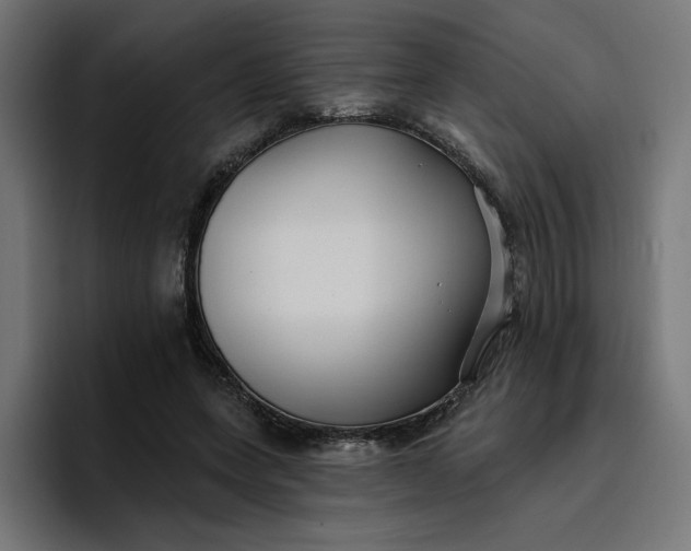 X0000096710543200802191510