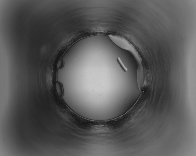 X0000096710544200802191510