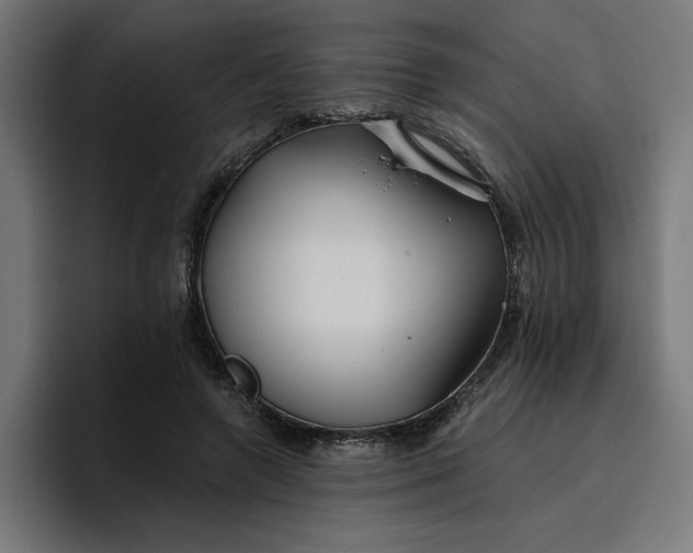 X0000096710546200802191510