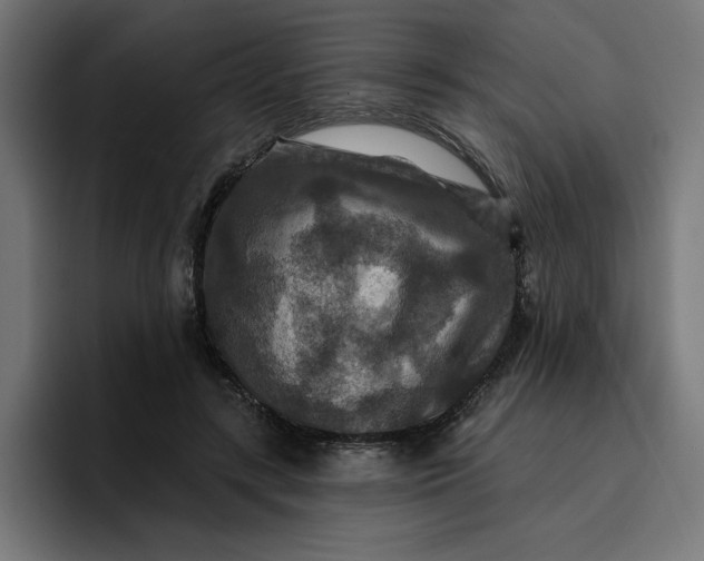 X0000096710547200802191510