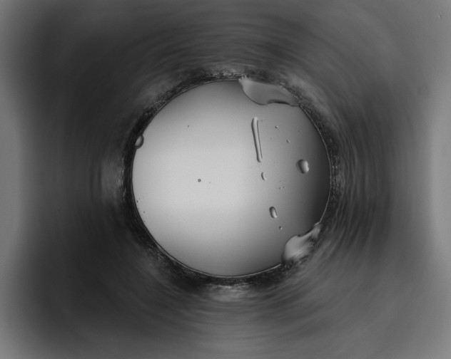 X0000096710548200802191510