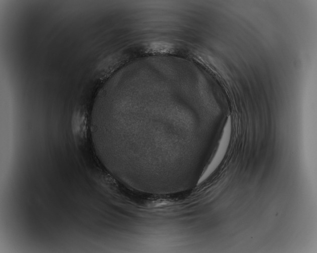 X0000096710551200802191510