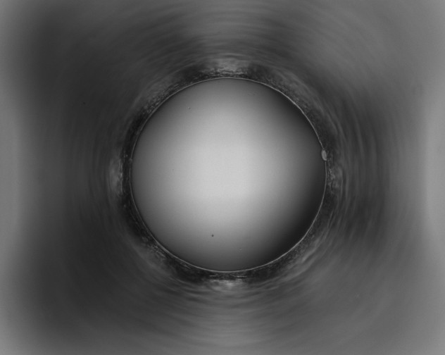 X0000096710552200802191510