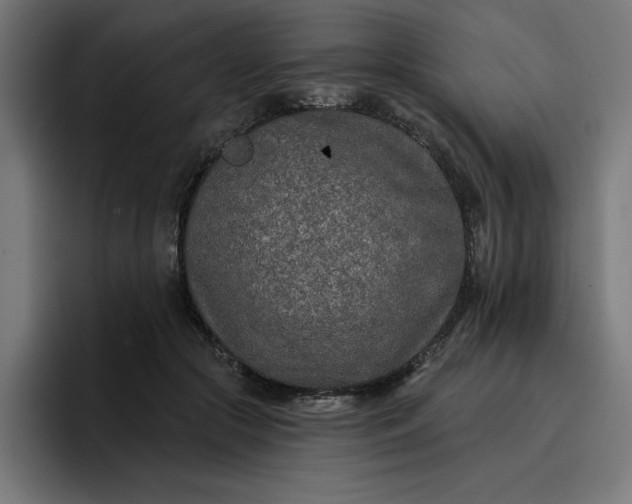 X0000096710553200802191510