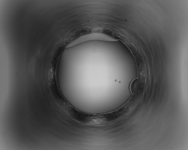 X0000096710555200802191510