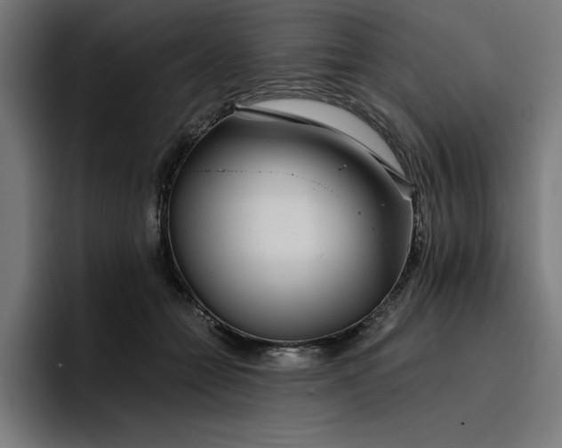 X0000096710558200802191510