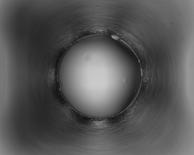 X0000096710560200802191510