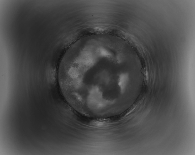 X0000096710563200802191510