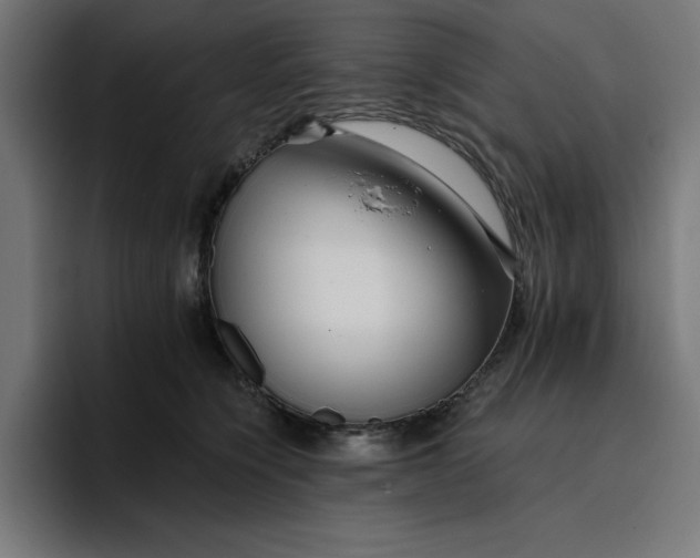 X0000096710564200802191510