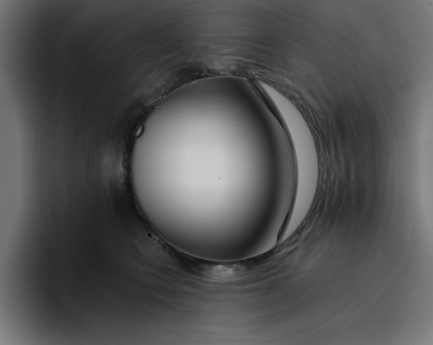 X0000096710566200802191510