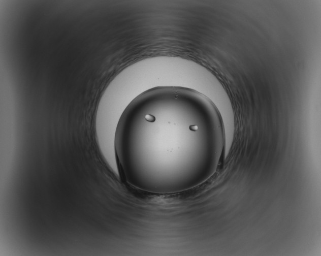 X0000096710568200802191510