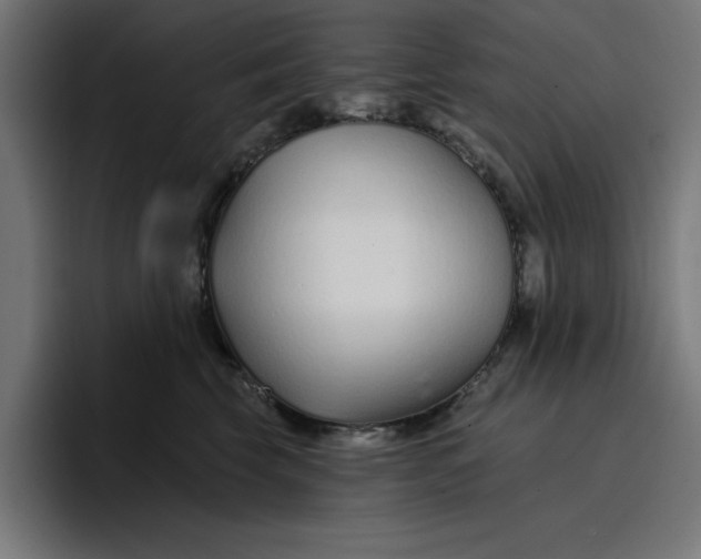 X0000096710569200802191510