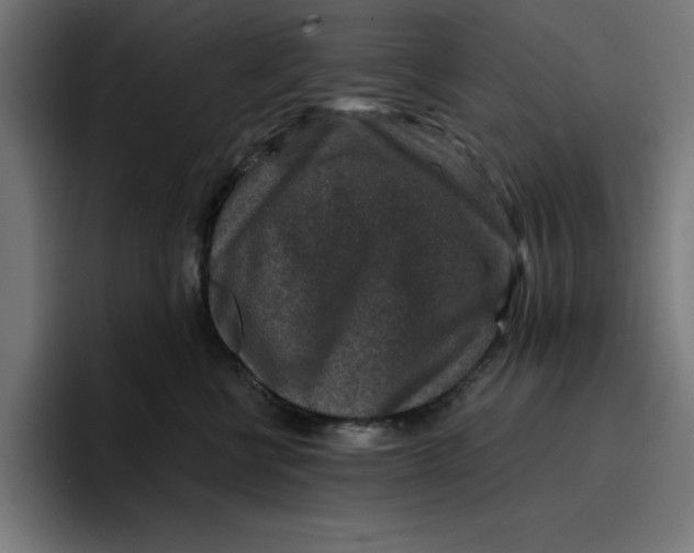 X0000096710570200802191510