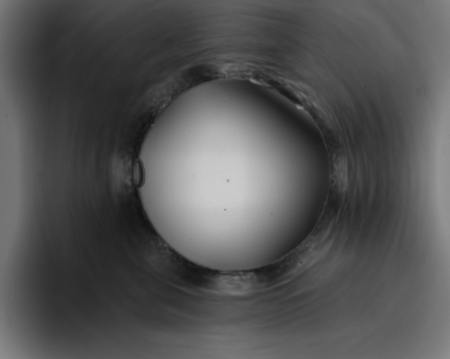 X0000096710571200802191510