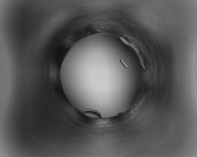 X0000096710574200802191511