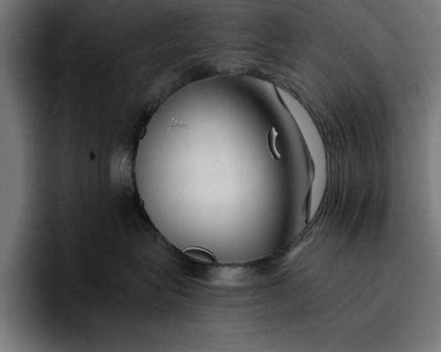 X0000096710575200802191511