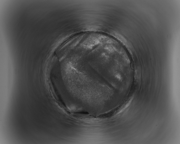 X0000096710577200802191510