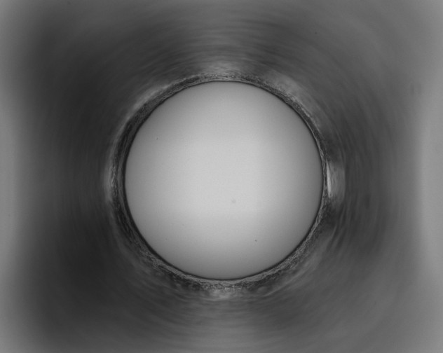 X0000096710579200802191510