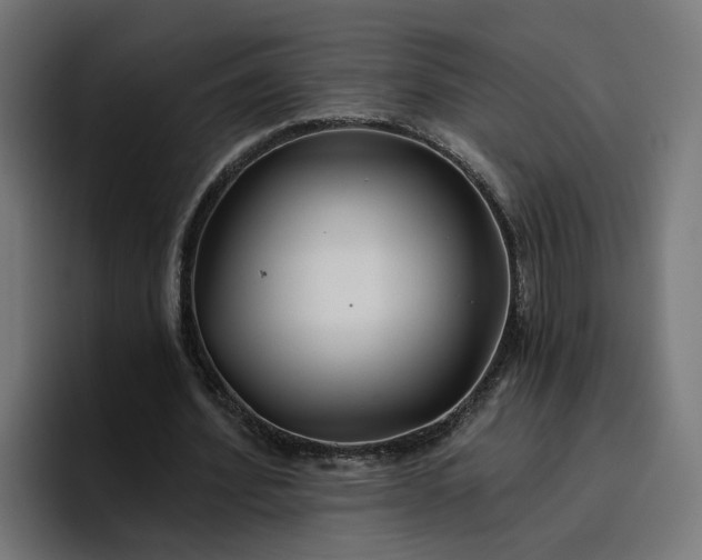 X0000096710580200802191510