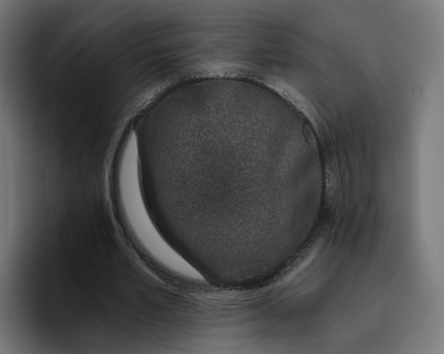 X0000096710581200802191510