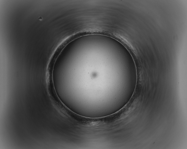 X0000096710584200802191510