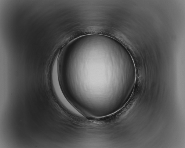 X0000096710585200802191510