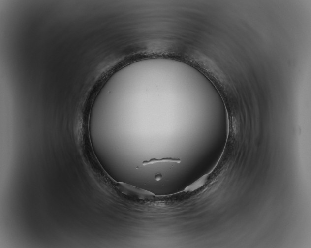 X0000096710588200802191510