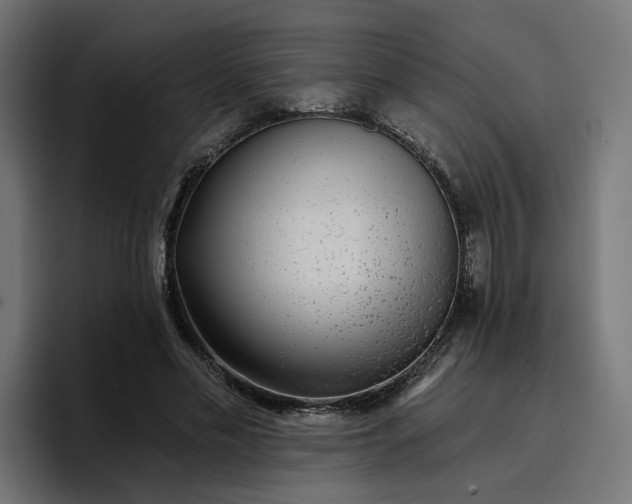 X0000096710589200802191510