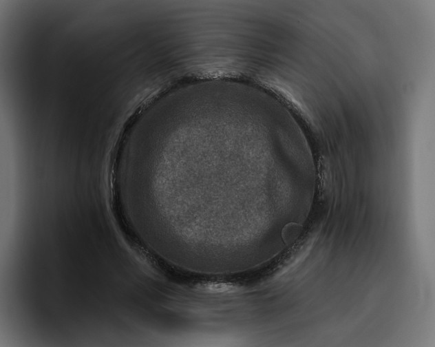 X0000096710590200802191510