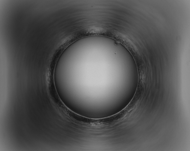 X0000096710591200802191510