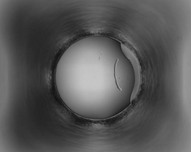 X0000096710592200802191510