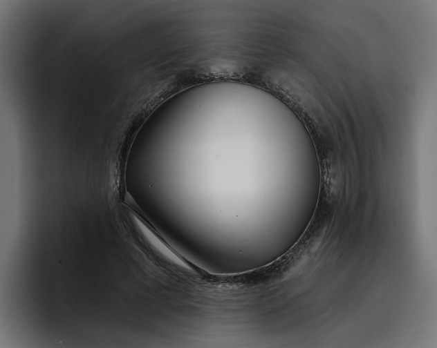 X0000096710593200802191510