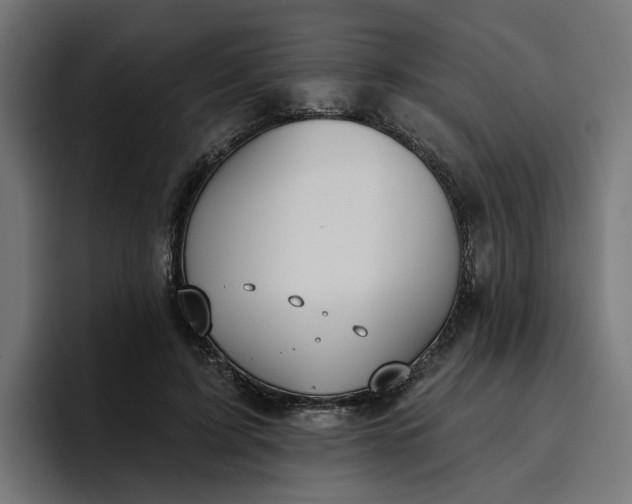 X0000096710595200802191510