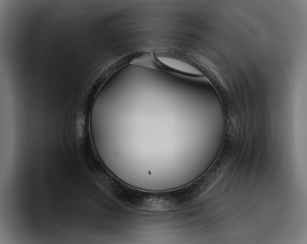 X0000096710596200802191510