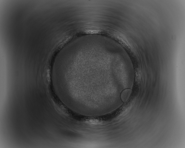 X0000096710598200802191510