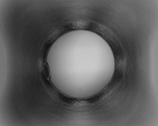 X0000096710599200802191510