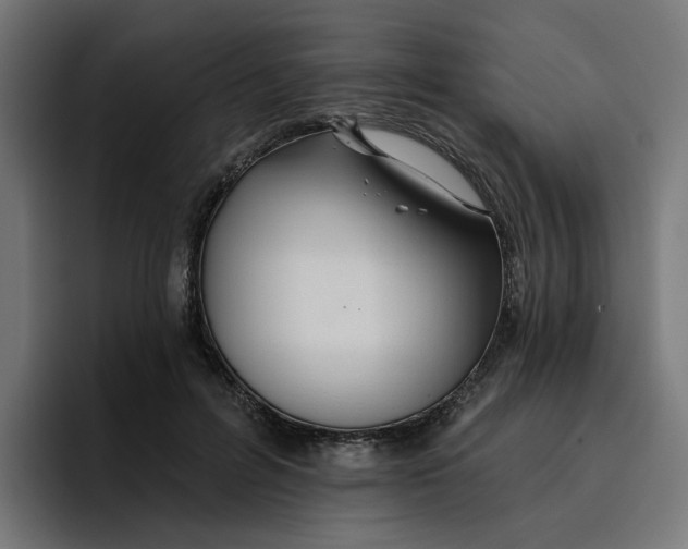 X0000096710600200802191510