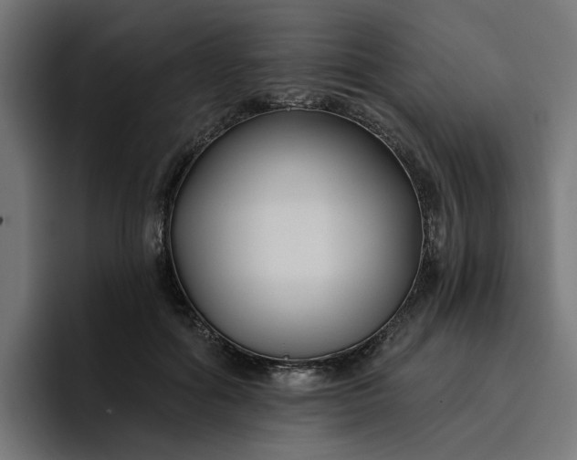 X0000096710602200802191510