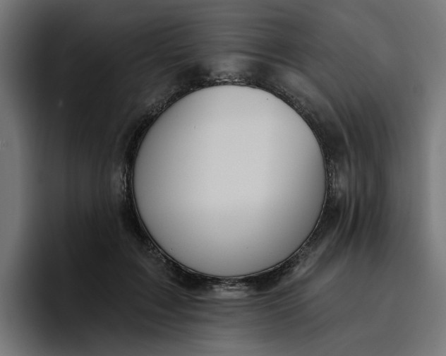 X0000096710603200802191510