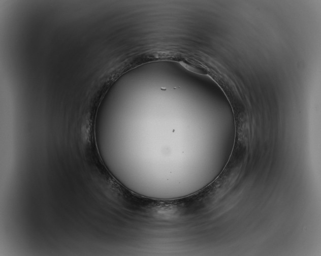 X0000096710604200802191510