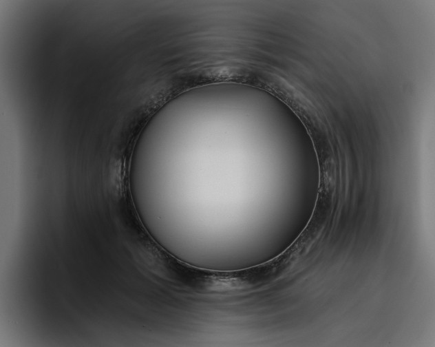 X0000096710605200802191510