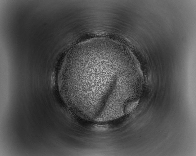 X0000096710606200802191510