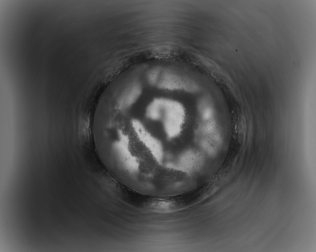 X0000096710610200802191510