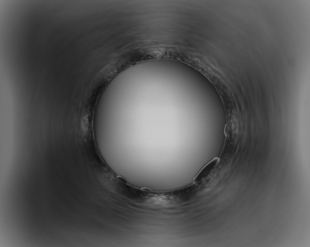 X0000096710611200802191509